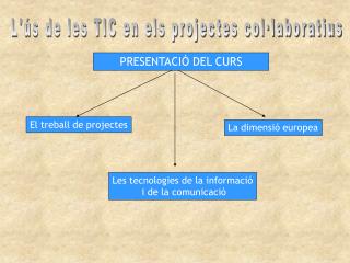 L'ús de les TIC en els projectes col·laboratius