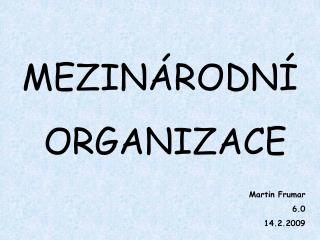 MEZINÁRODNÍ ORGANIZACE