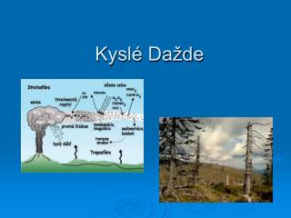 Kyslé Dažde