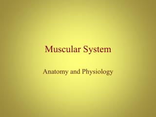 Muscular System