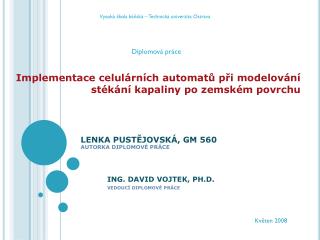 ING. DAVID VOJTEK, PH.D. VEDOUCÍ DIPLOMOVÉ PRÁCE