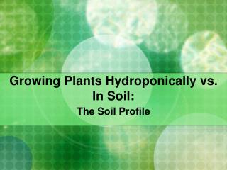 Growing Plants Hydroponically vs. In Soil: