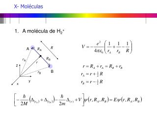 X- Moléculas