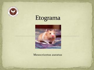 Etograma