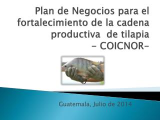 Plan de Negocios para el fortalecimiento de la cadena productiva de tilapia - COICNOR-