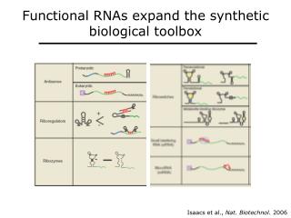 Functional RNAs expand the synthetic biological toolbox