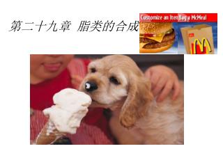 第二十九章 脂类的合成
