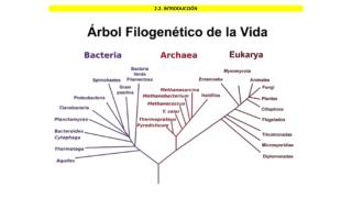 2.2. INTRODUCCIÓN