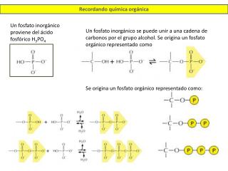 Recordando quimica orgánica