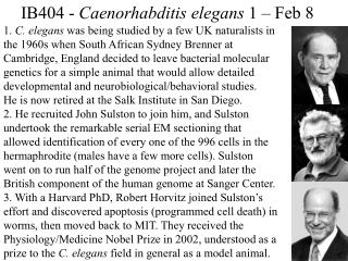 IB404 - Caenorhabditis elegans 1 – Feb 8