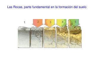 Las Rocas, parte fundamental en la formación del suelo