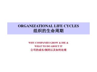 ORGANIZATIONAL LIFE CYCLES 组织的生命周期