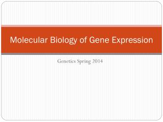 Molecular Biology of Gene Expression