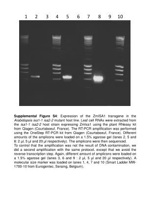 225565Supplemental_Figure_S4