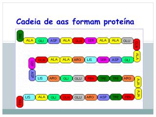 Cadeia de aas formam proteína