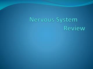 Nervous System	 Review