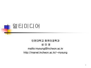 멀티미디어