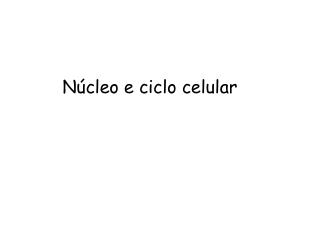 Núcleo e ciclo celular