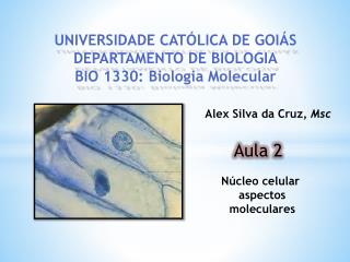 UNIVERSIDADE CATÓLICA DE GOIÁS DEPARTAMENTO DE BIOLOGIA BIO 1330: Biologia Molecular