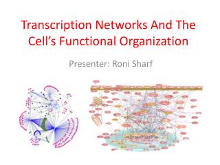 Transcription Networks And The Cell’s Functional Organization