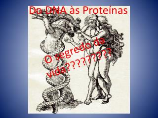 Do DNA às Proteínas