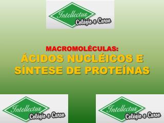 MACROMOLÉCULAS: ÁCIDOS NUCLÉICOS E SÍNTESE DE PROTEÍNAS