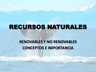 RECURSOS NATURALES