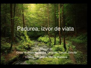 Padurea, izvor de viata