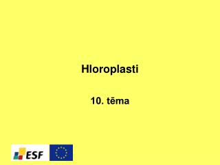 Hloroplasti