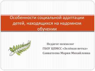 Особенности социальной адаптации детей, находящихся на надомном обучении