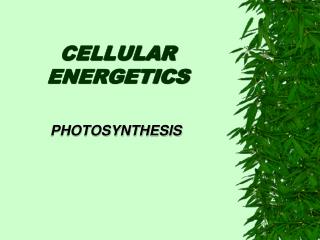 CELLULAR ENERGETICS