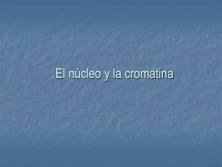 El núcleo y la cromatina