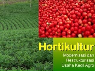 Modernisasi dan Restrukturisasi Usaha Kecil Agro