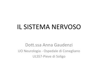 IL SISTEMA NERVOSO