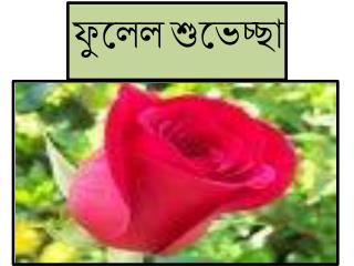 ফুলে ল শুভেচ্ছা