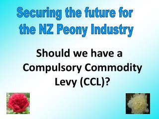 Should we have a Compulsory Commodity Levy (CCL)?