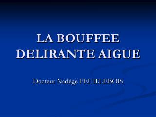 LA BOUFFEE DELIRANTE AIGUE