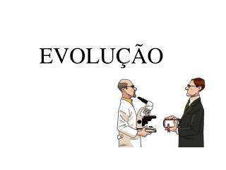 EVOLUÇÃO