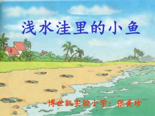 浅水洼里的小鱼