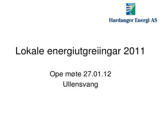 Lokale energiutgreiingar 2011