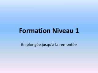 Formation Niveau 1