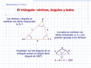 El triángulo: vértices, ángulos y lados