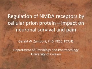 Regulation of NMDA receptors by cellular prion protein – impact on neuronal survival and pain