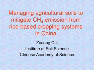 Managing agricultural soils to mitigate CH 4 emission from rice-based cropping systems in China