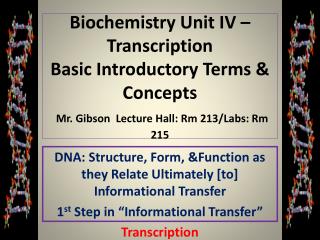 DNA: Structure, Form, &amp;Function as they Relate Ultimately [to] Informational Transfer