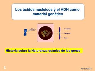 Los ácidos nucleicos y el ADN como material genético