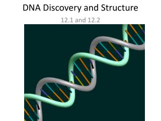 DNA Discovery and Structure