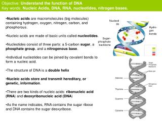 Hydrogen bonds