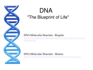 DNA