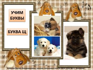 УЧИМ БУКВЫ